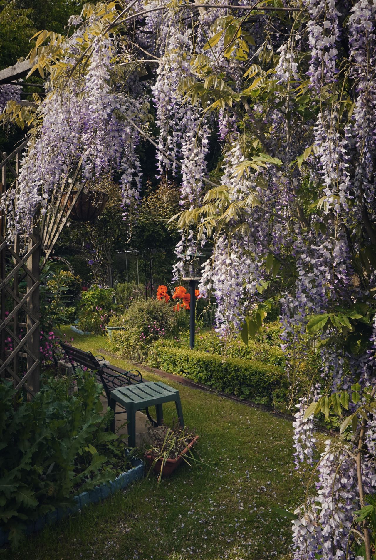 How to Plan a Summer Garden Landscaping Refresh (Without Losing Every Summer Weekend)