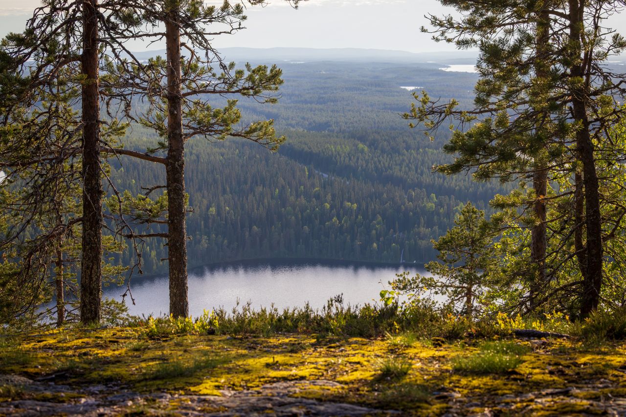 6 Best Companies to Book Finland Tour Packages