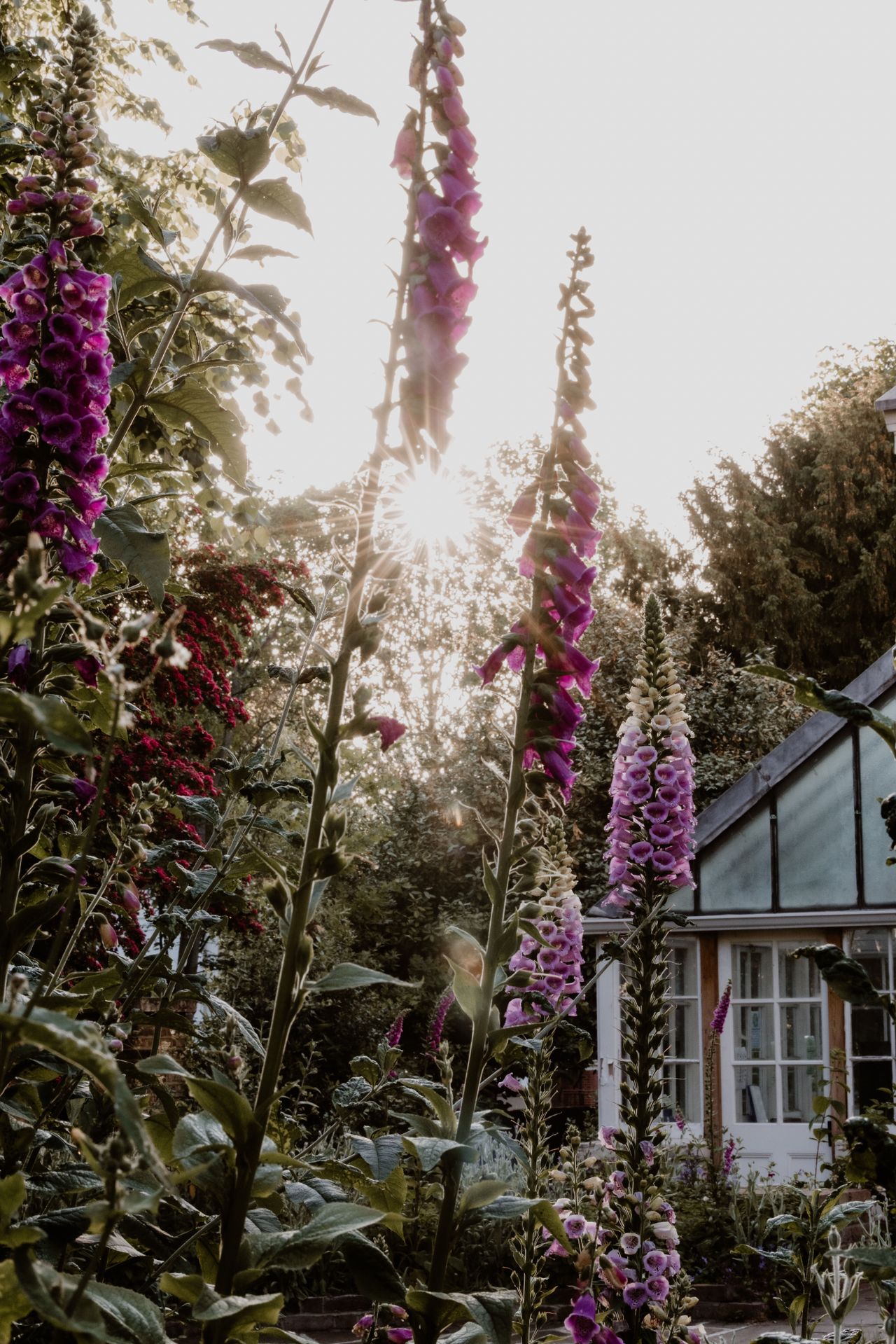 From Blank Canvas to Garden Retreat: How to Give Your Outdoor Space More Personality