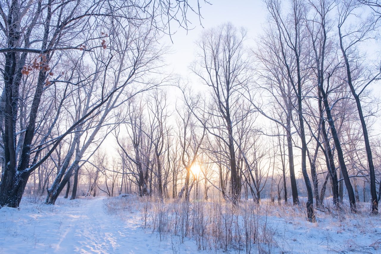 When Does Winter Start? UK Dates and What They Mean