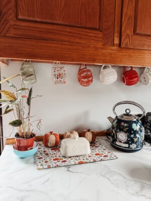 Our Kitchen Renovation: Finally Sorting Out a 30-Year-Old Kitchen